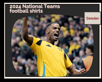 fake Sweden football shirts 23-24